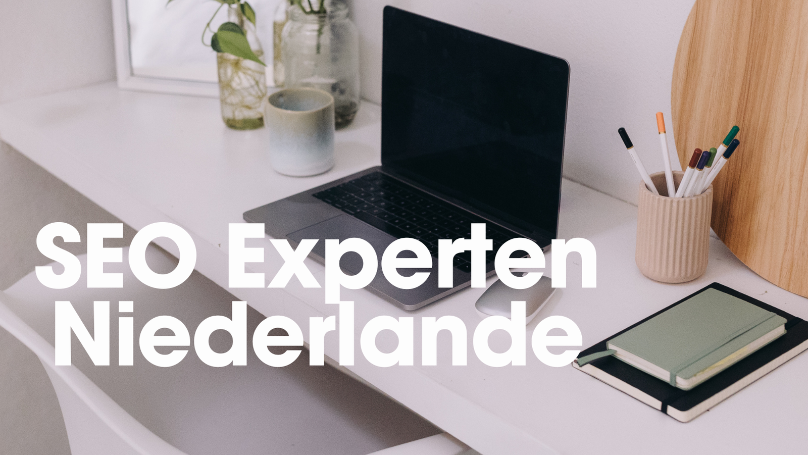 SEO Experten Niederlande